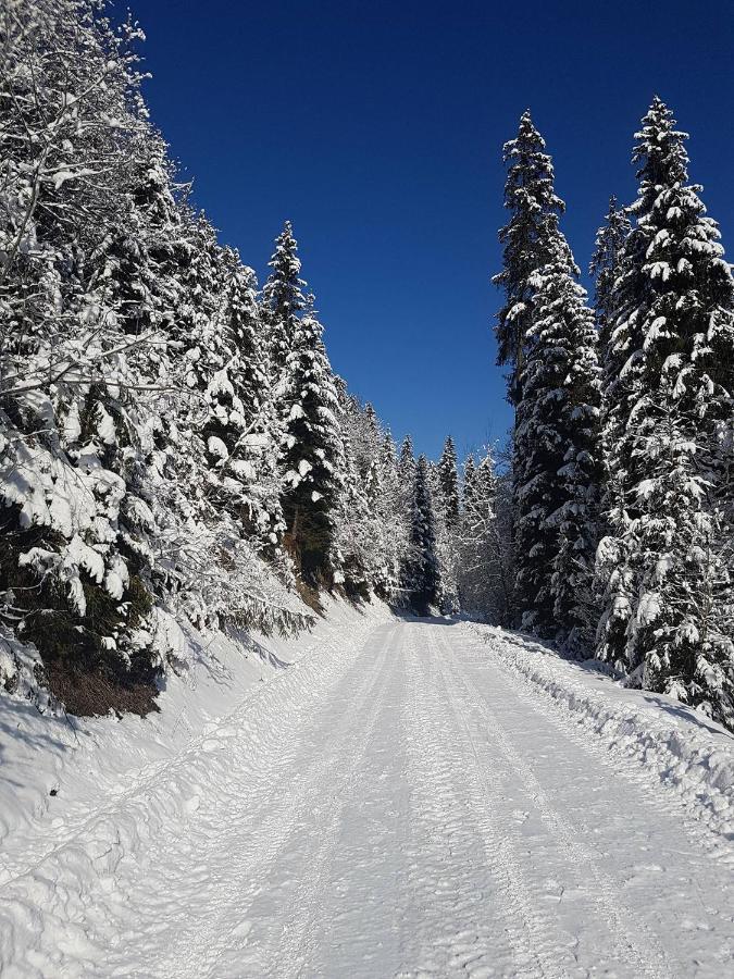 Skalny Zakatek Z Grota Solna Na Wylacznosc Łapsze Niżne Extérieur photo